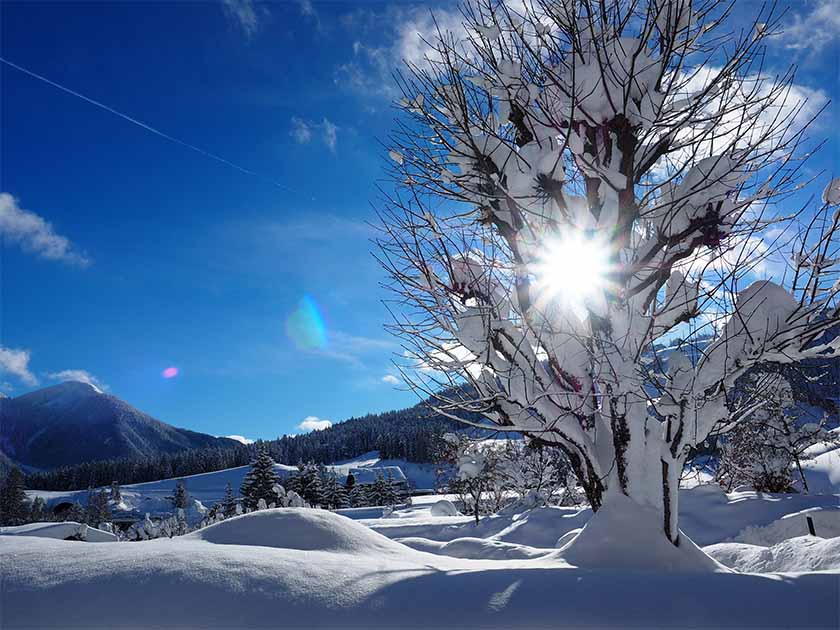 vacances hivernales seefeld tirol